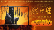 9久热久爱免费精品视频在线观看